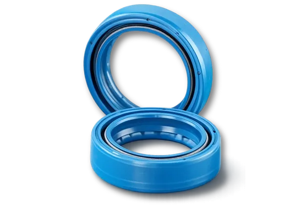 Oil Seal
