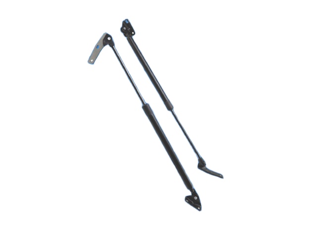 GAS SPRINGS